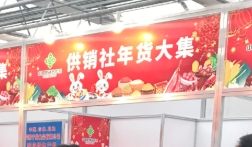 大同市2025年第二届供销年货大集助企助农增收